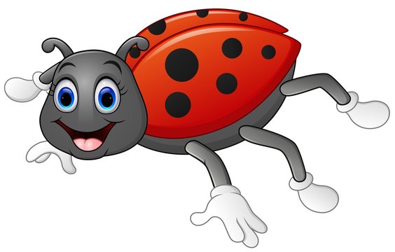 Cute ladybug cartoon 