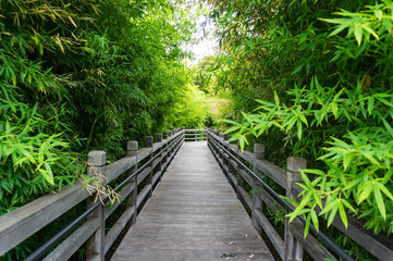 Obraz premium Bridge