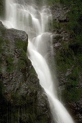 Fototapeta premium Waterfall (Lake Quinault)