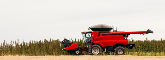 Combine Harvesting Hemp