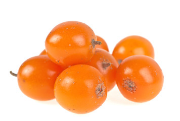 Sea-buckthorn berries on a white background