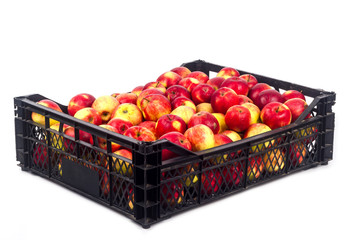 Crate with red apples on a white background