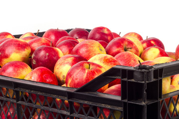 Crate with red apples on a white background