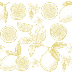 Lemons  and flowers. Vector seamless pattern