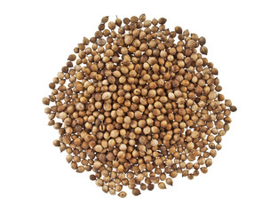Heap of coriander seeds isolated on white background
