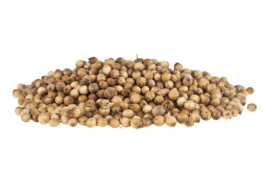 Heap of coriander seeds isolated on white background