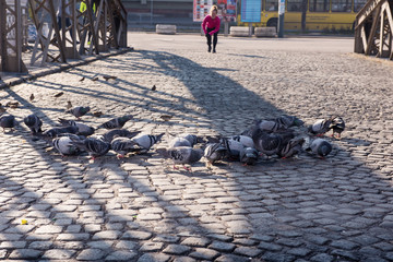 sporty woman jogging on morning