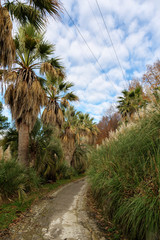 Obraz premium Autumn park path