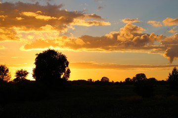 Sunset behind the trees in summertime