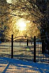 fence covered snow winter park