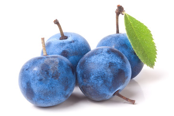 fresh blackthorn berries with leaves isolated on white background