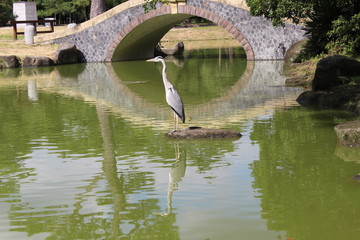 サギと橋