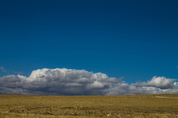 Obraz premium yellow field and blue sky