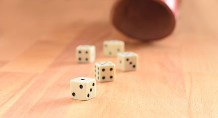 Dice playing
