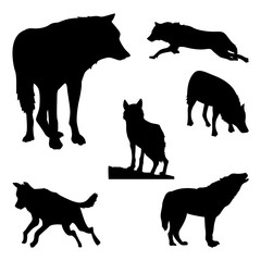 Collection Set of Wolf Wildlife Hunter Predator