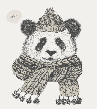 cute Panda in a scarf and hat
