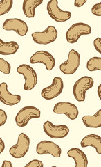 Cashew. Vector drawing