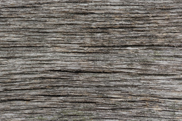 Fototapeta premium Wood background. Closeup of old gray wood texture