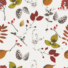 vector vintage background from autumn leaves, cones, berries
