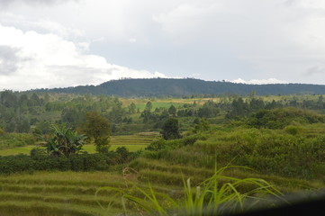Fototapeta na wymiar North Sumatera Landscape