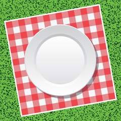 vector picnic tablecloth and empty plate