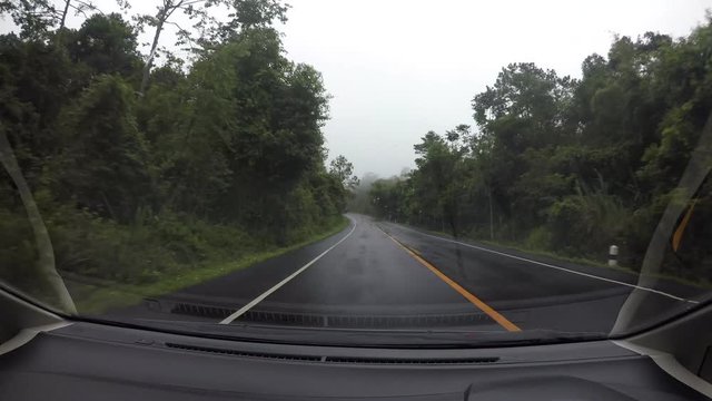 Driving on winding country road through lush misty forest after rain in spring