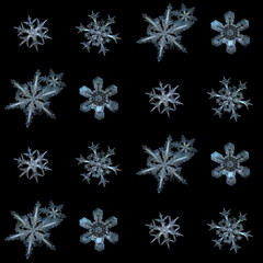 Snowflakes isolated on black background. This is collection of real snowflake macro photos (large stellar dendrite snow crystals with complex inner patterns), arranged in square grid.