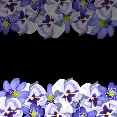 Beautiful spring background of blue violas and liverworts 