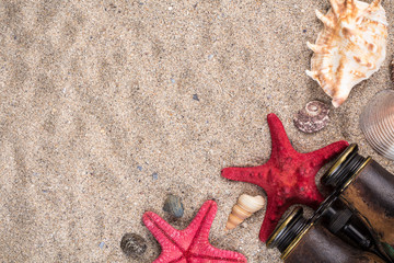 Sea shells with two red starfish and binocular