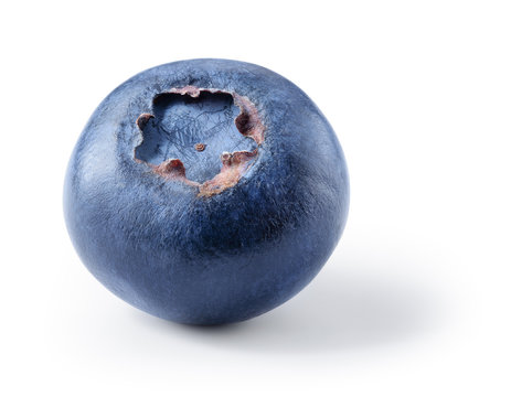 Blueberry. Fresh berry isolated over white. With clipping path.