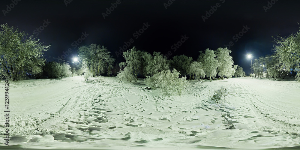 Wall mural Spherical panorama of winter forest and a road with lanterns at