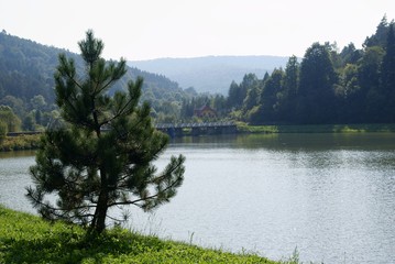 landscape of lake and dam on Wisloka river in Krempna