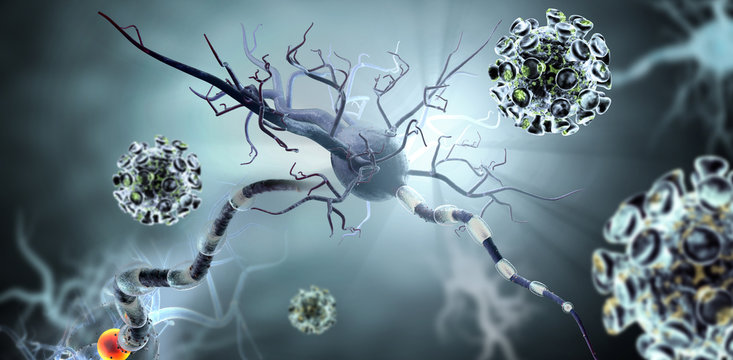 Dbs 이미지 – 찾아보기 620 스톡 사진, 벡터 및 비디오 | Adobe Stock