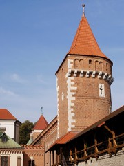 Fototapeta premium old tower in Krakow