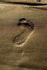 Fototapeta na wymiar impronta nella sabbia
