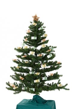 Christmas tree isolated on white with euro money