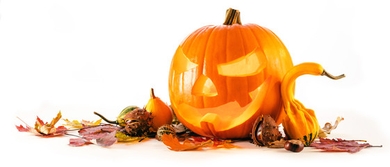 Halloween Kürbisse 