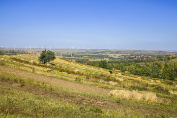 The terraced fields in autumn