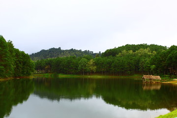 Fototapeta na wymiar Pang Ung. Beautiful forest lake in the morning. Mae Hong Son. Thailand