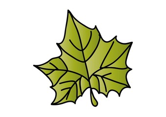 jesień, liście © monikakosz