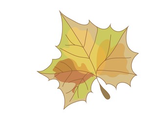 Naklejka na ściany i meble jesień, liście