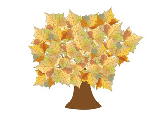 jesień, liście © monikakosz