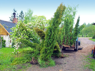 Fototapety na wymiar - Fototapeta24.pl