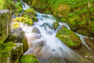 Hiking trail of river Pino