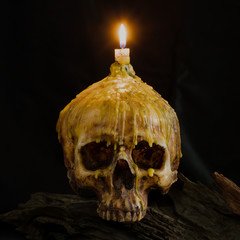 skull with candle light on top with clipping path on grunge wood