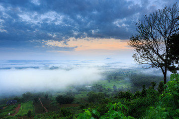 The landscape photo, beautiful sea fog in morning time at Khao Kho, Phetchabun in Thailand
