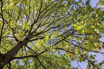 autunno