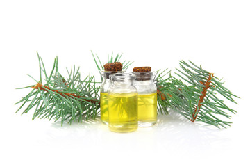 Bottles of coniferous essential oil and branch isolated on white