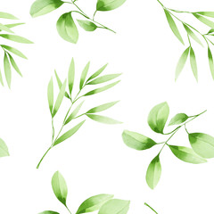 Seamless floral pattern with the watercolor green leaves on the branches, hand drawn on a white background
