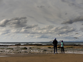 Mother and daughter looking at sea-gall colony at a beach.